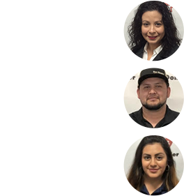 Meet the Team