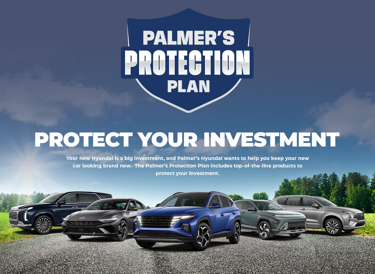 Palmer's Protection Plan