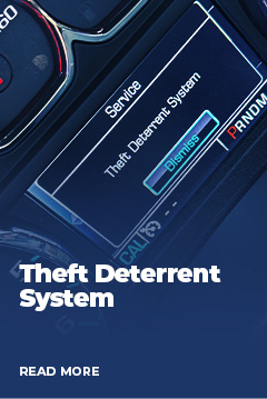 Theft Deterrent System